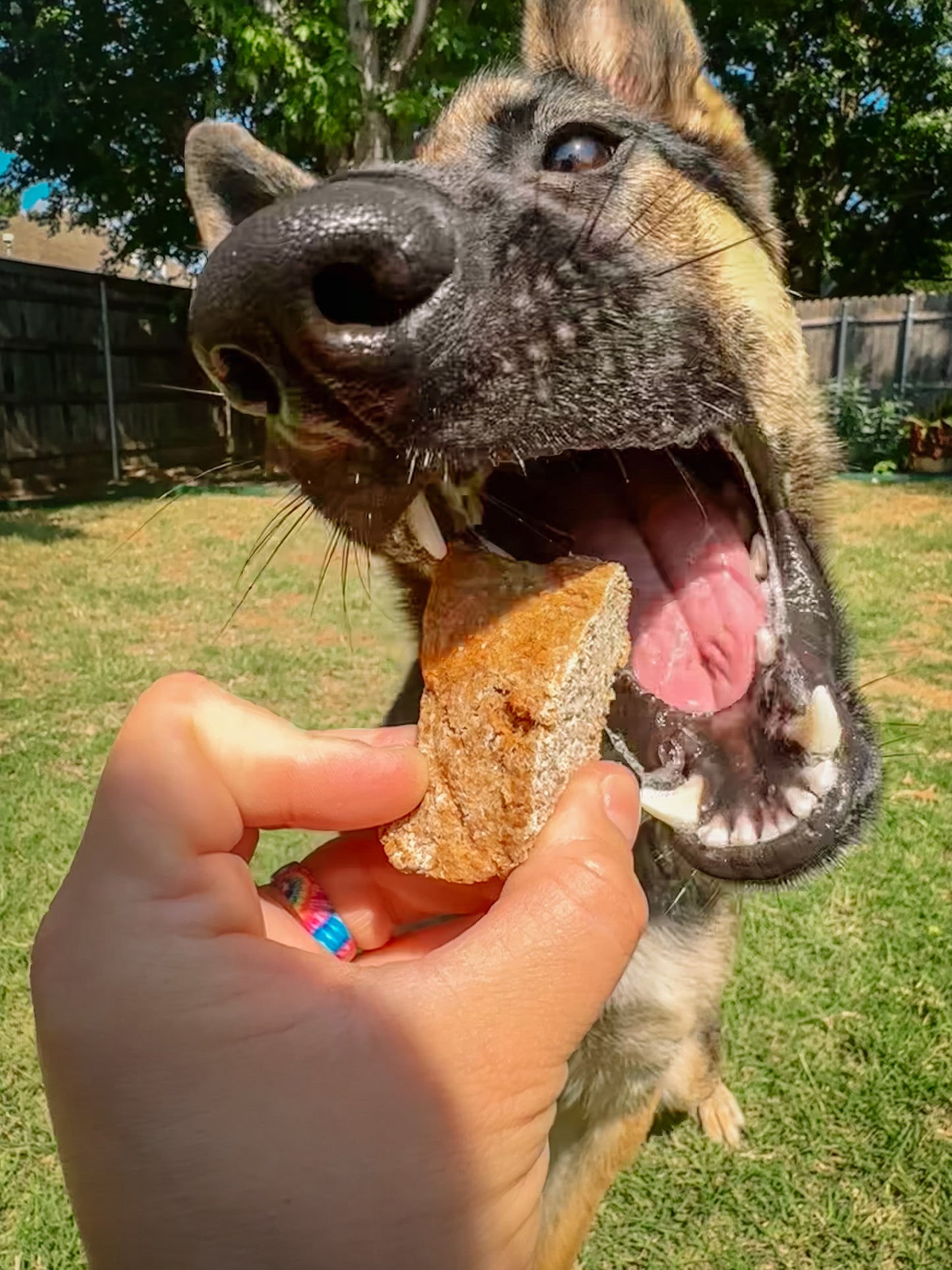 Maylee's Banana Bread