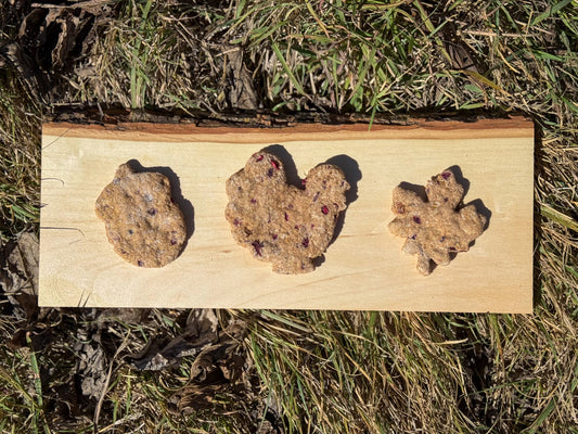 Nimbus's Turkey Hunt