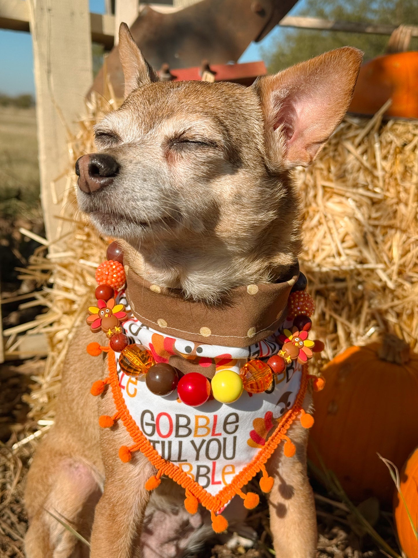 Gobble 'Til You Wobble