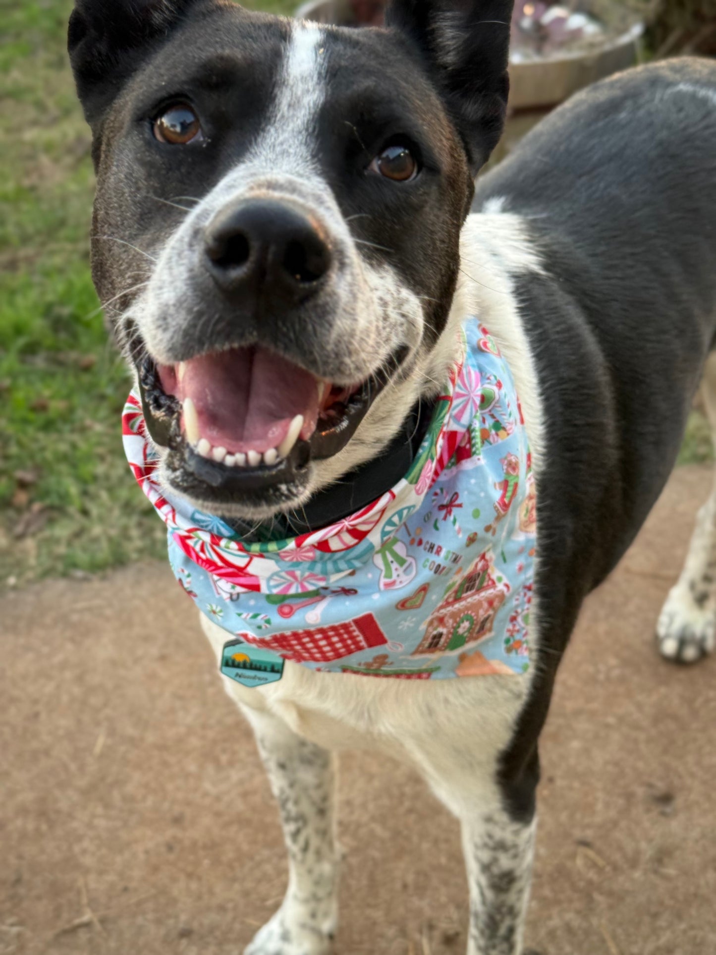 Baking Spirits Bright