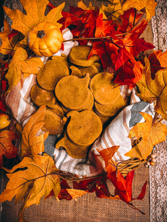 Isabella's Pumpkin Patch